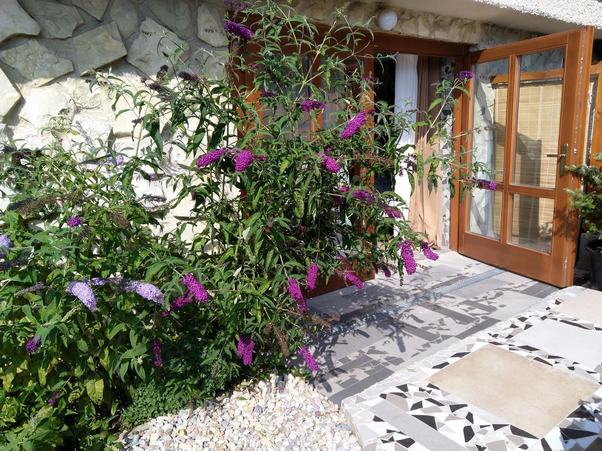 Apartmany Sharka -Sarka Justrova Decin Exterior photo